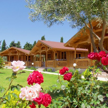 Sandys Studios Apartments And Log Villas Псалиди Экстерьер фото